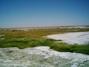Salzsee Mound Springs